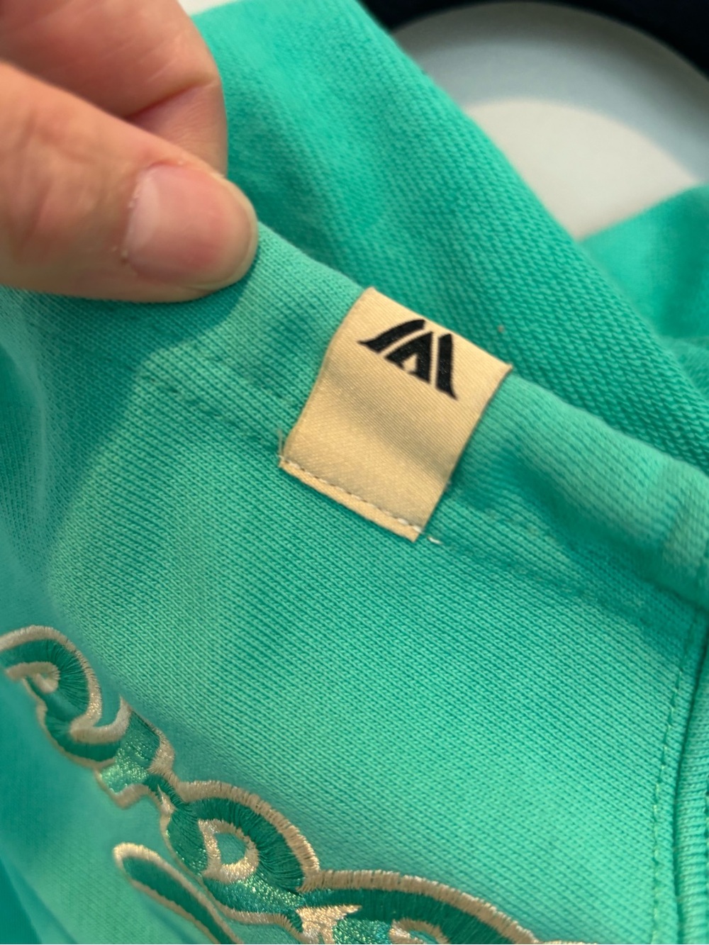 Turquoise Graphic Hoodie with Cream Script and Tiger Sleeve Prints - Picture 6 of 6